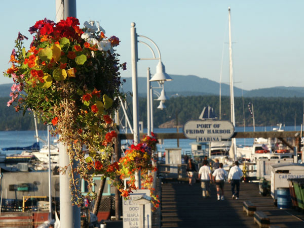 dock_flowers2 dock_flowers2