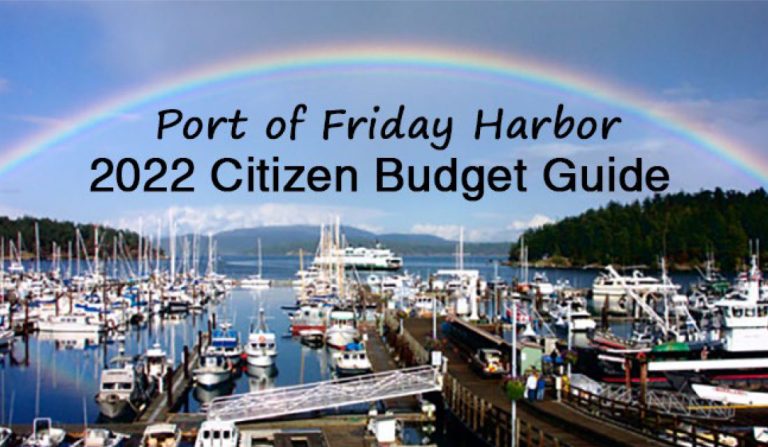 2022 Citizen Budget Guide